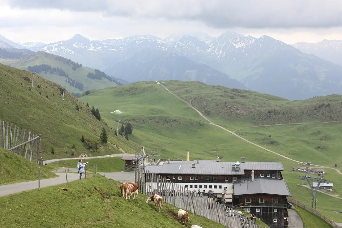 Alpenhaus na Kitzbüheler Hornu